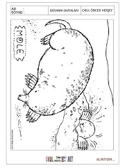 Köstebek boyama sayfaları